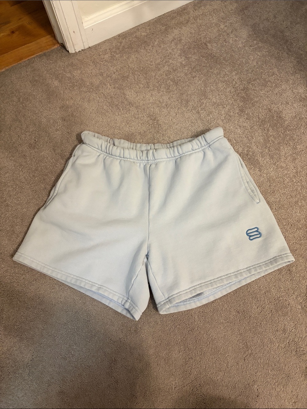 Aritzia / Super World Fleece Shorts / Size M